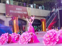 上海演出節目經紀公司 藝術與市場的完美橋梁